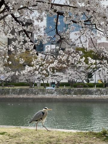 Children's Peace Monument - 広島の子供たちに捧げられた記念碑