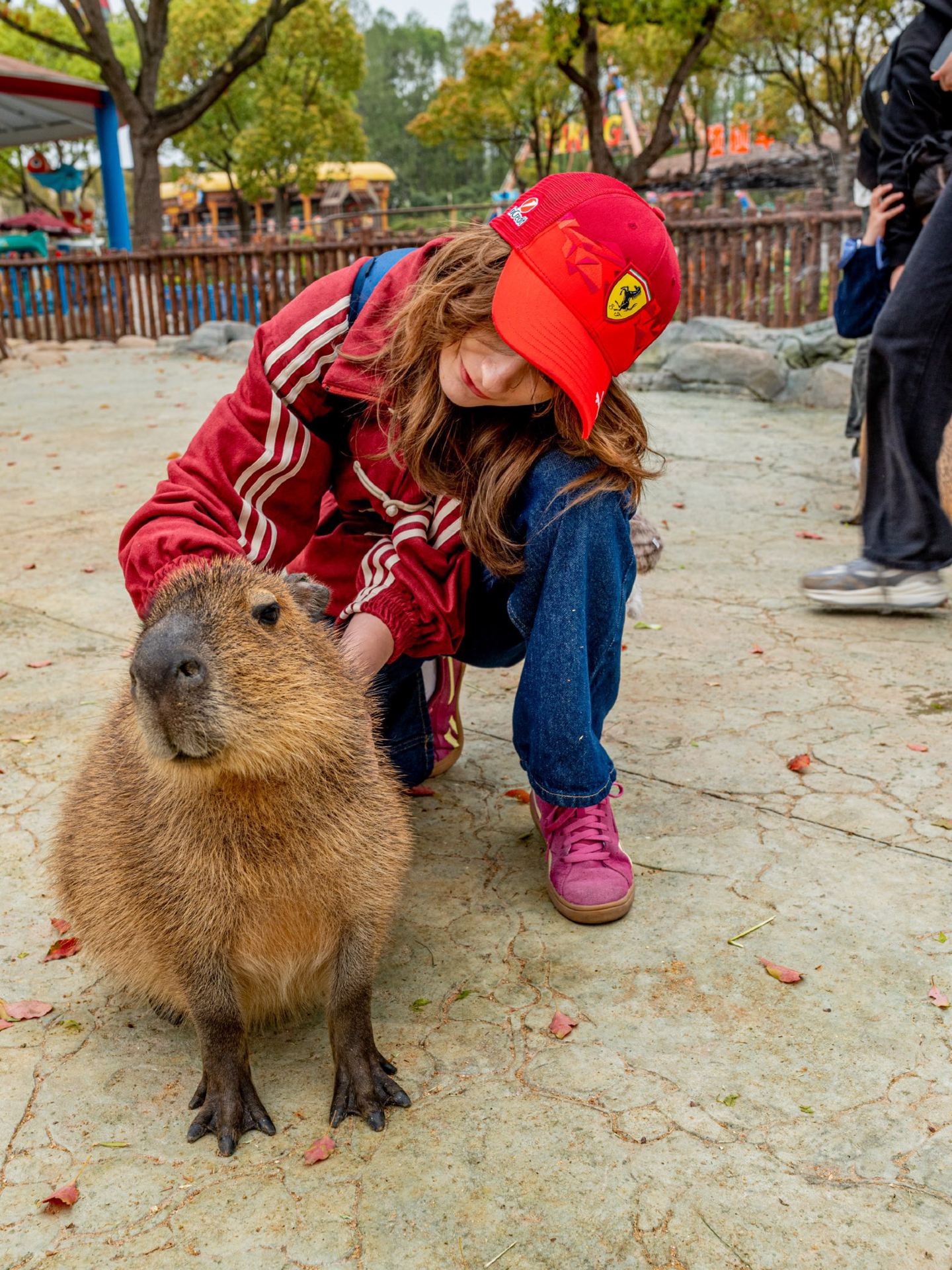 Before our trip, I often came across the advice that 4–5 hours is enough for visiting the Shanghai Wild Animal Park. That's exactly how much time we set aside.

But after visiting, I can say for sure: it's simply not enough.

If you're already planning to come here, chances are you love animals. If so, it's better not to rush and give yourself the chance to fully enjoy the place!

Why would you want to spend the whole day here?

🚍 Bus Safari
One of the main highlights of the park is the safari zone, where you can see animals roaming over a massive area. Tip: arrive early to avoid long lines.

🐯 Animal Feeding
For an extra fee, you can feed various animals in the park. This is one of the brightest moments of the visit: getting up close to the animals, interacting with them, and experiencing incredible emotions! 
I highly recommend setting aside a separate budget for this in advance—you definitely won't regret it!

🎭 Animal Shows
There are different performances throughout the day. It's best to check the schedule beforehand and plan your route to catch at least a few of them.

🍽 Cafes with animals behind glass or at a short distance from you.
The park features cafes and restaurants that offer not just great food, but the chance to watch animals right while you eat! 
We particularly loved the cafe with a tiger enclosure right behind the glass. If you're lucky enough to snag a window seat, consider it your lucky day!!! It's unforgettable!

There are also spots with waterfront terraces where you can watch monkeys whose houses are located on small islands in the middle of a pond. It's such an uplifting sight!

🛍 A Leisurely Stroll
With its expansive grounds, beautiful zones, and souvenir shops—you won't want to just rush through the route, but rather stop, relax, and soak in the atmosphere.

My takeaway: if you only allocate 4–5 hours to the park, you'll only see a fraction of it.
It's much better to arrive in the morning and spend the entire day here—especially if you're traveling with kids or truly love animals 🦁

📍 Shanghai Wild Animal Park (上海野生动物园)
Address: 178 Nanliu Highway, Pudong New Area, Shanghai, China (上海市浦东新区南六公路178号)
