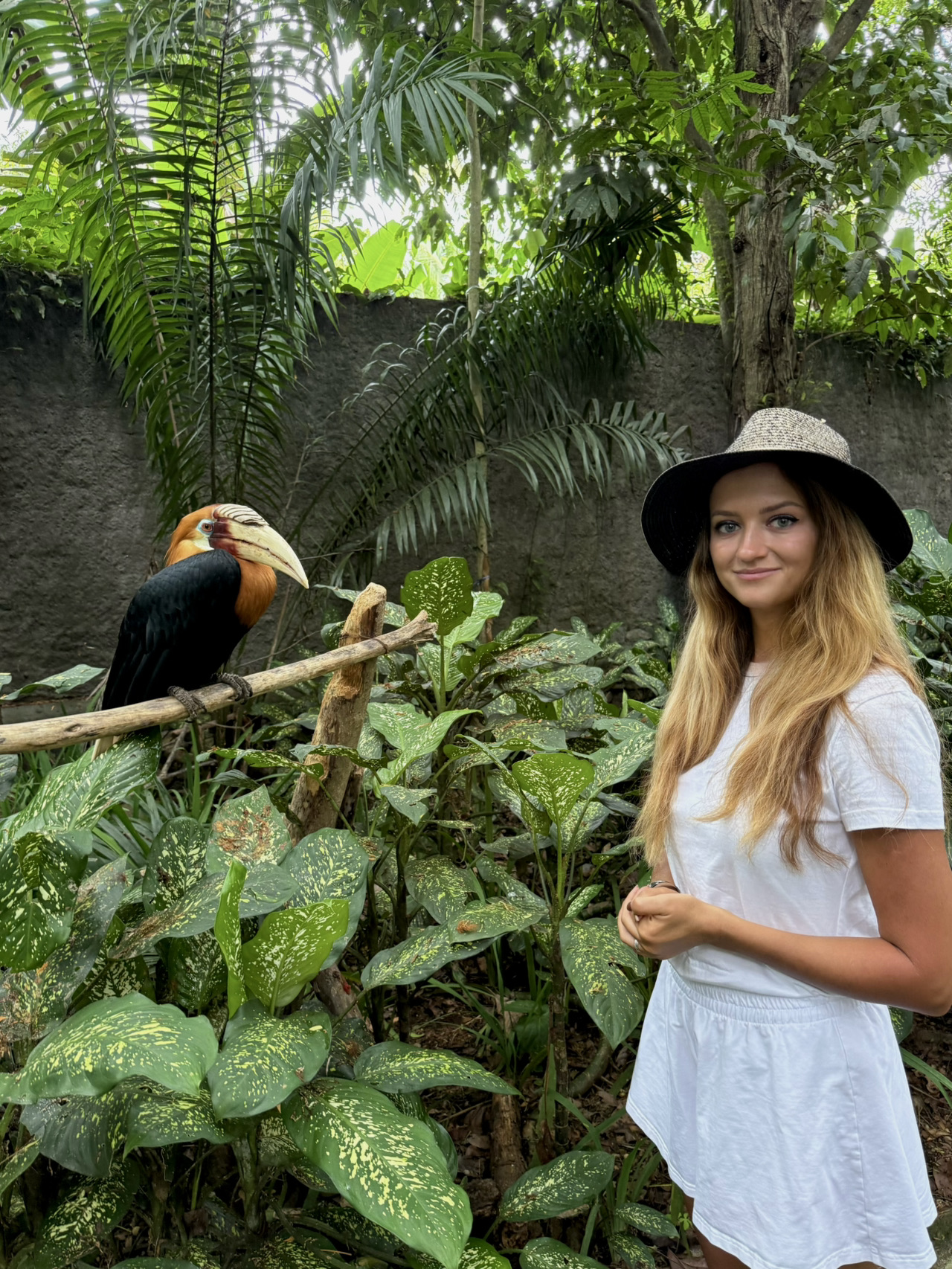 Wildlife Park in Lombok.