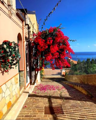🇮🇹 Rocca di Cefalù: Sicily’s Breathtaking Hidden Treasure ⛰️✨
