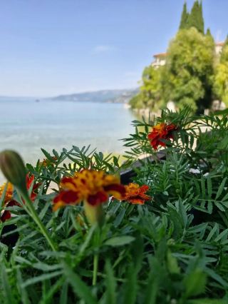 photo vs reality: The Magnificent Monastery of Saint Naum, Ohrid 🌄✨