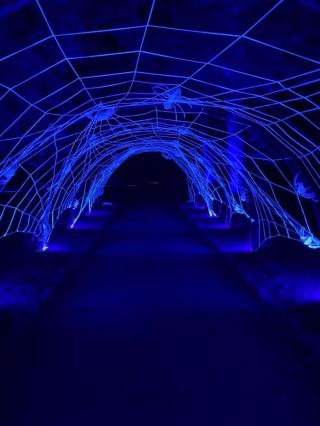 你敢在天黑後走進邱園嗎？