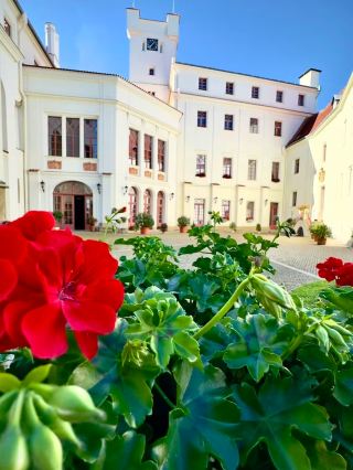Bor Castle: A Fairytale Fortress You Gotta Experience 🏰✨