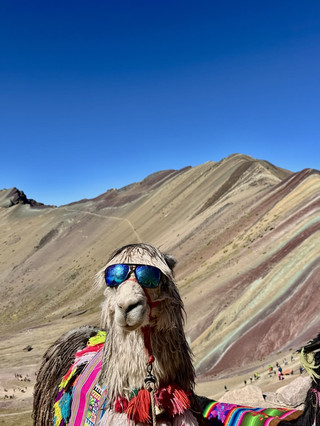 The Day I Dared to Wing It to Machu Picchu with a Llama 🇵🇪🦙