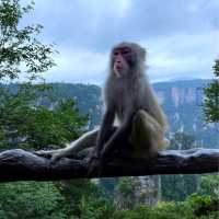 The iconic Zhangjiajie  