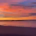 phelan_5163