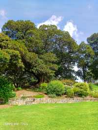 Sydney Royal Botanic Garden