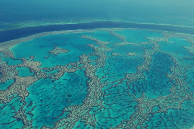 The perfect Great Barrier Reef.