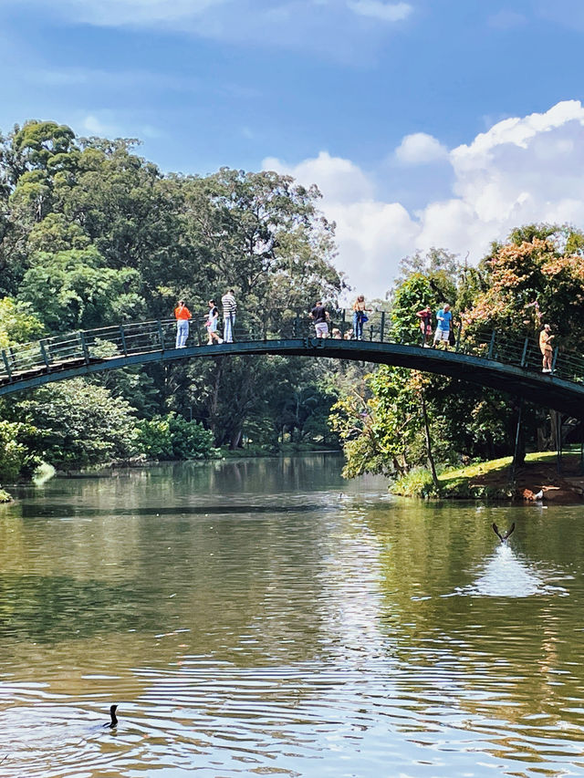 São Paulo · Ibirapuera Park