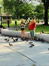 Boston Common - the starting point of the Freedom Trail in the United States.