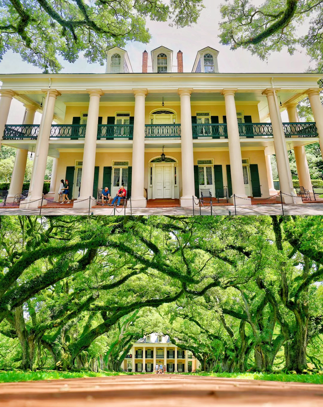 ニューオーリンズ NOLA - 夜の「インタビュー・ウィズ・ヴァンパイア」のロケ地、オーク・アレー・プランテーション。
昔の写真を整理していたら、仲間とニューオーリンズに行った時の写真が見つかりました。
ニューオーリンズは独特の雰囲気を持つ場所で、訪れる価値があると思います。ニューオーリンズの中心部から車で約1時間。200年以上の歴史を持つプランテーションはすぐそこにあります。入り口には28本のオークの木が立ち並び、絡み合った樹冠が空を覆っています。
チケットは「ビッグ・ハウス」の展示付きとなしの2種類があり、違いは内部の見学の有無だけです。