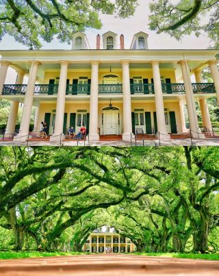New Orleans NOLA - Oak Alley Plantation, filming location of "Interview with the Vampire" at night.
Sorting through old photos, I found pictures of when I went to New Orleans with my buddies.
New Orleans is a place with a very unique style that I think is worth visiting. It is about an hour's drive from the city center of New Orleans. The plantation with a history of more than 200 years is right there. There are 28 oak trees at the entrance, with their crowns intertwined, covering the sky.
Two types of tickets are available for purchase, Sitewith/without "Big House" exhibit, the only difference is whether to visit the interior of the house.
