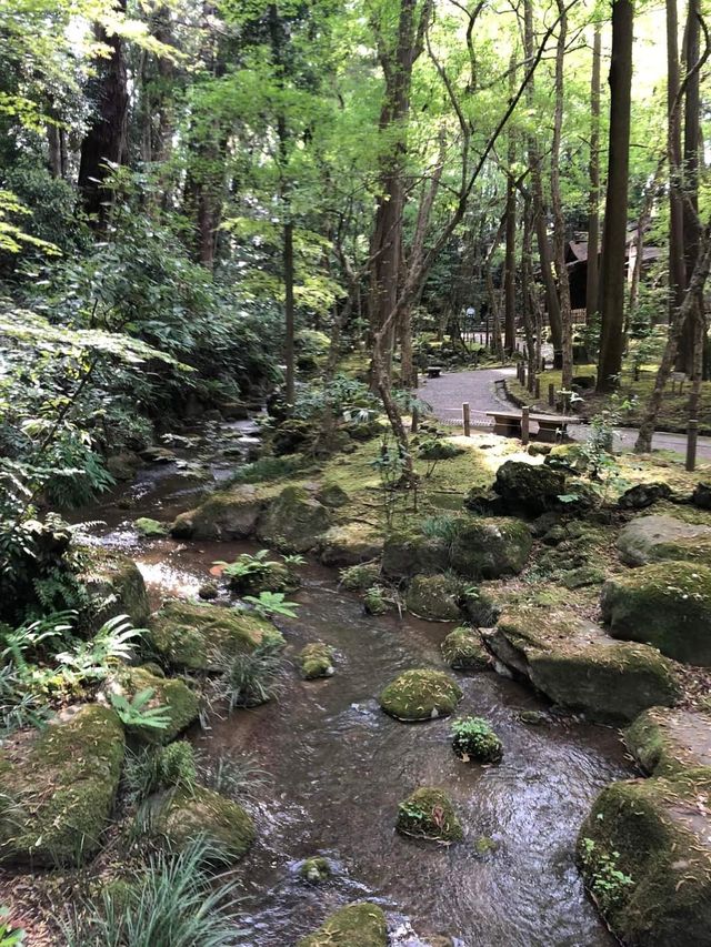 Japan Trip | Travel Guide to Narita Temple