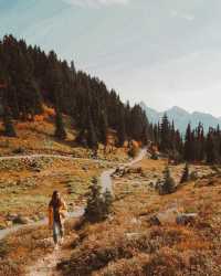 Conquer Mt. Rainier: Easiest Scenic Hikes for All