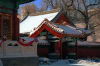 一下雪，哈爾賓文廟就變成了故宮