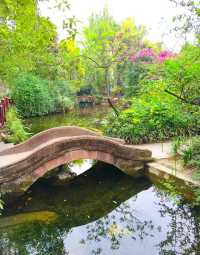 百花潭公園——一個充滿詩情畫意的地方！