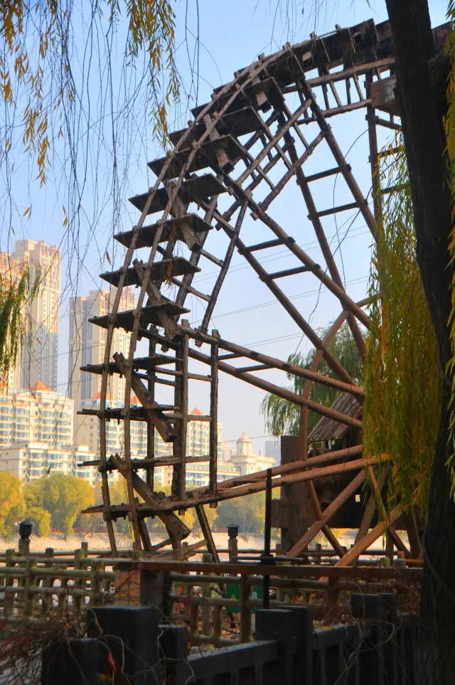 Touring Lanzhou, the City of Waterwheels (2)