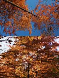 從杭州出發2h，去皖南川藏線過周末