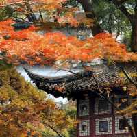 光影園林|與秋同肅！留園