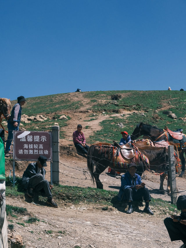 去山裡過週末吧