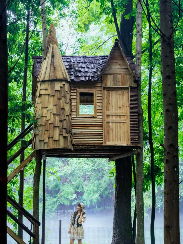 We found a campsite hidden in the forest in Dujiangyan