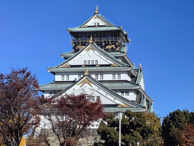 日本關西紅葉季七天遊