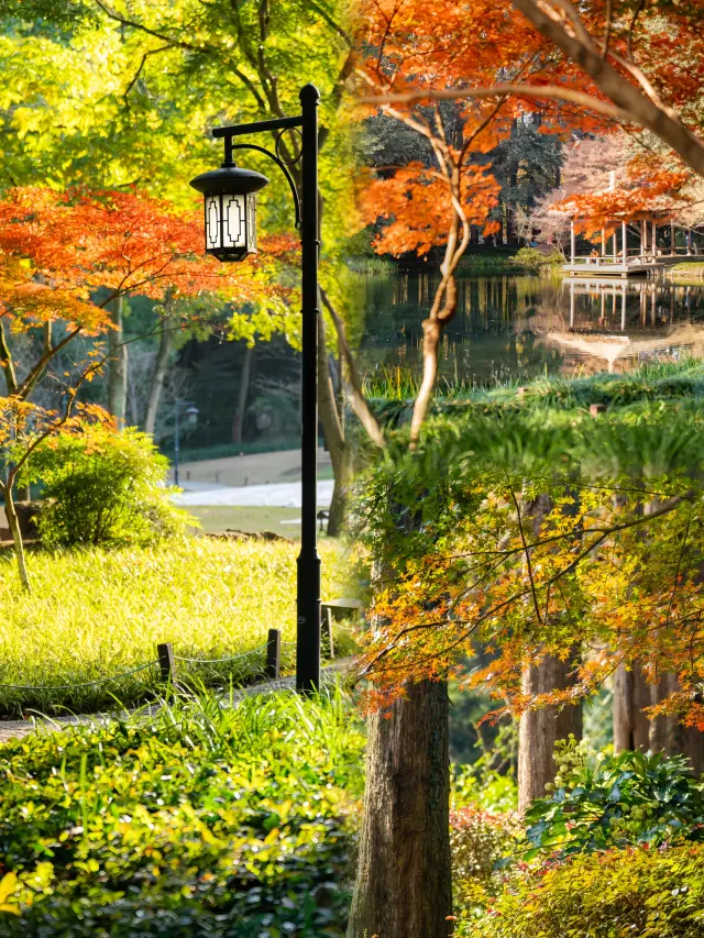 The Prince Bay in West Lake during autumn, how can it be ten times more beautiful than spring?