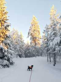 羅瓦涅米歐娜斯山滑雪中心