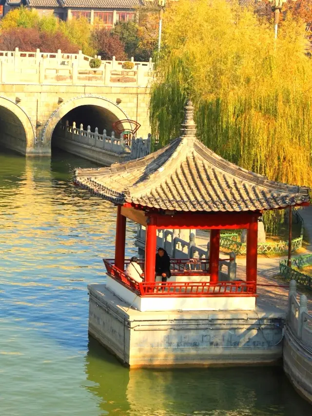Kaifeng! You're not promoting these free autumn viewing spots, are you confused?