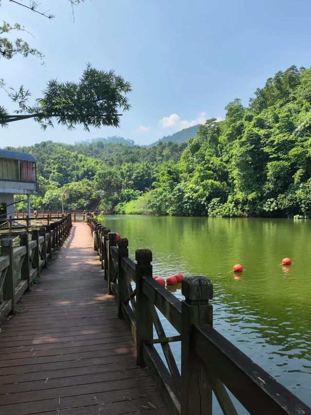 意猶未盡的八寨溝 意猶未盡的八寨溝