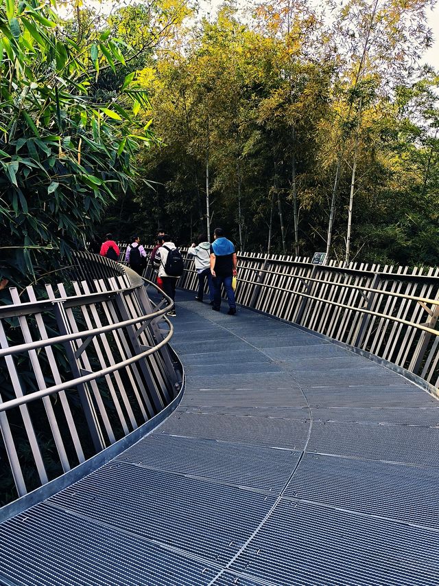 福州這條城市森林步道，不愧是有福之道！