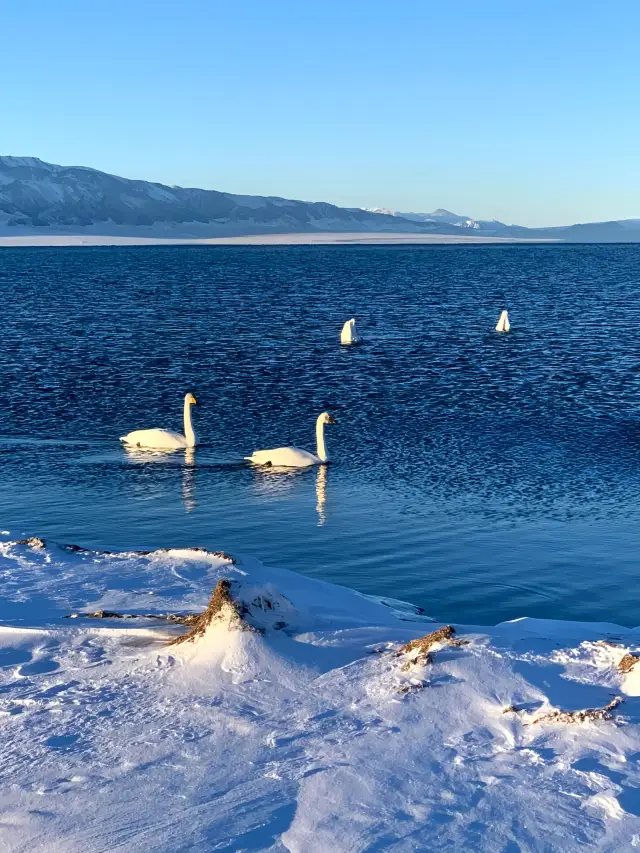 The first day of 2024 at Sayram Lake