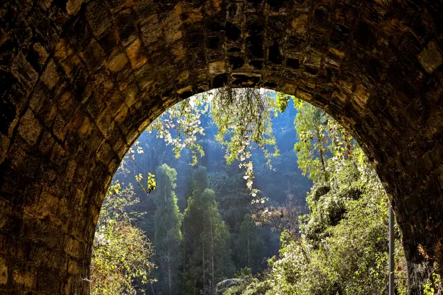 An abandoned railway | Back to childhood