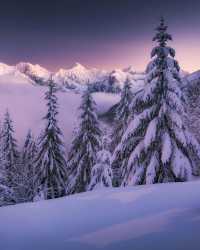 斯洛伐克上塔特拉山的雪