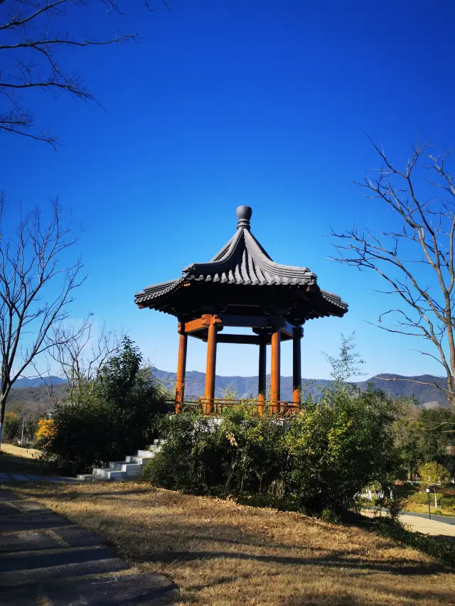 이씽: 개와 함께 여행하기 좋은 장소입니다