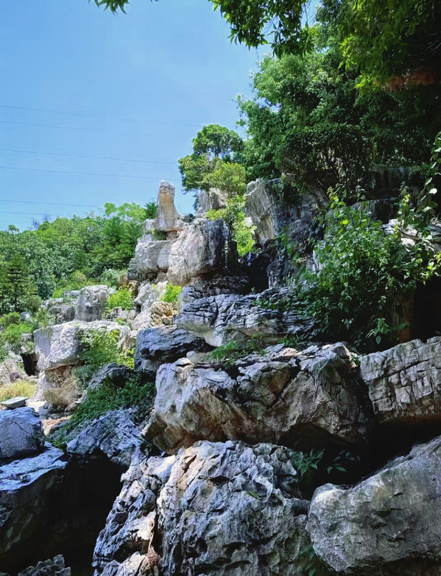 城區中的“綠寶石”-瀘江公園