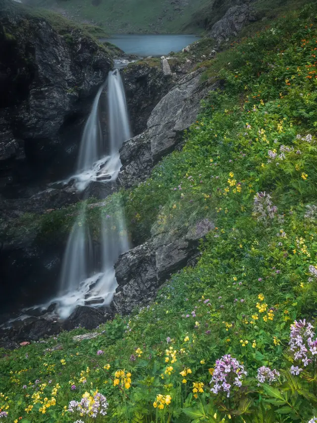 ียงรายต้องมีฤดูหนาวมาผ่านอย่างน้อยหนึ่งครั้งเพื่อไม่ให้เสียใจ