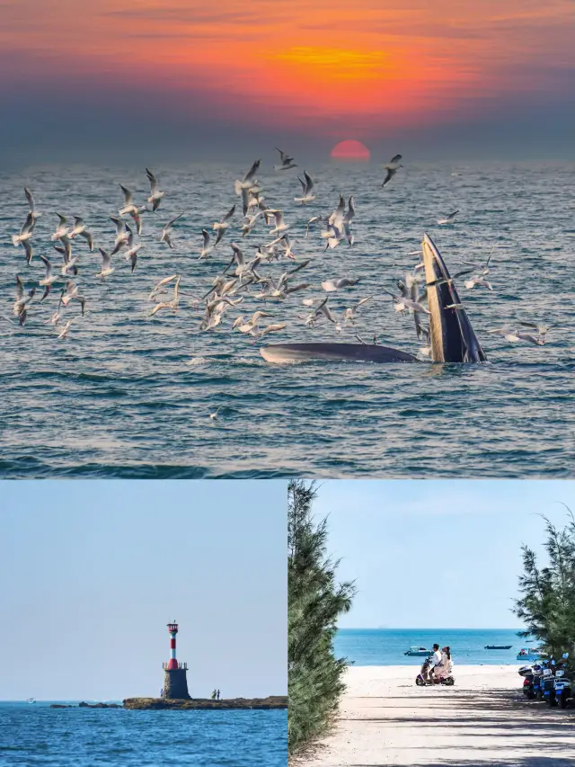 It's not that Hainan is unaffordable, but Beihai offers more value for money!