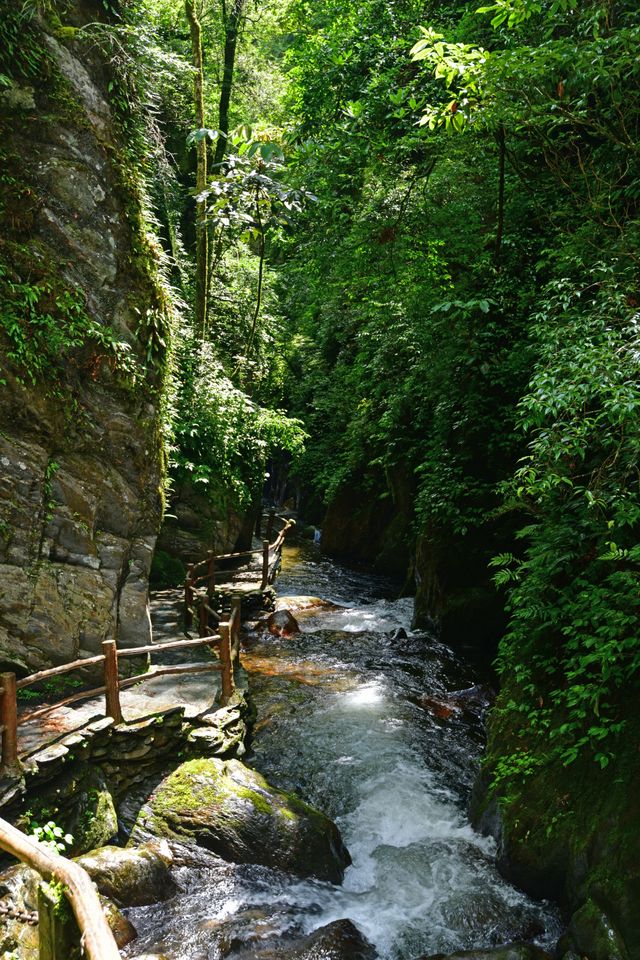 石門峽清泉石上流