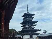 盛唐遺風 藥師寺 『三藏院伽藍』『白鳳伽藍  』