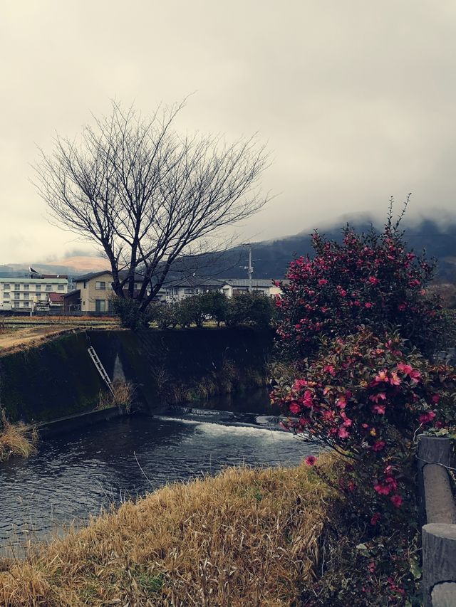 九州由布院，山谷裡的日式夢幻花園