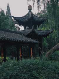 嘹塞鴻經楚澤，淺深紅樹見揚州