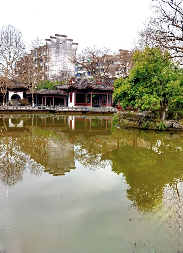 浙江衢州-府山公園