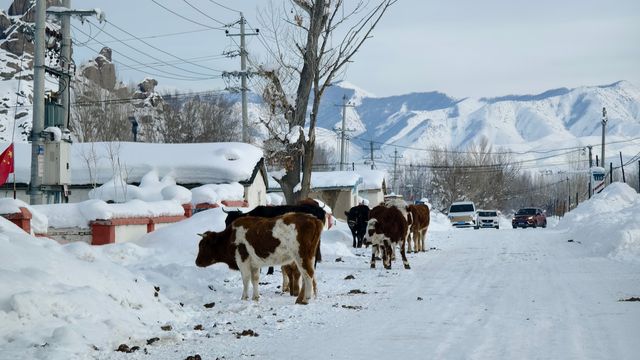 可可托海除了滑雪，還有雪騎