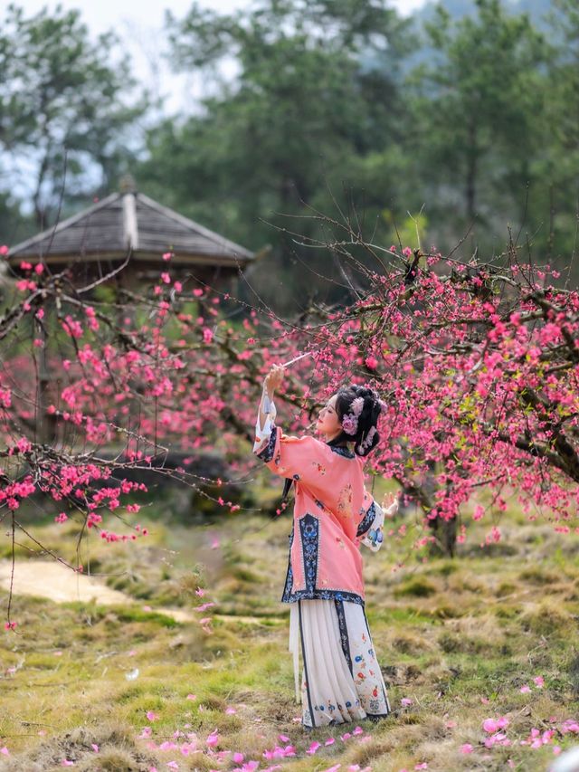 廣東踏青賞花好去處連州桃花節絕美春天悄悄來臨