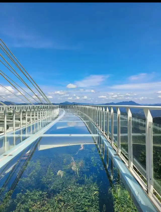 Climb Shiniu Mountain for a panoramic view and appreciate the beauty of nature