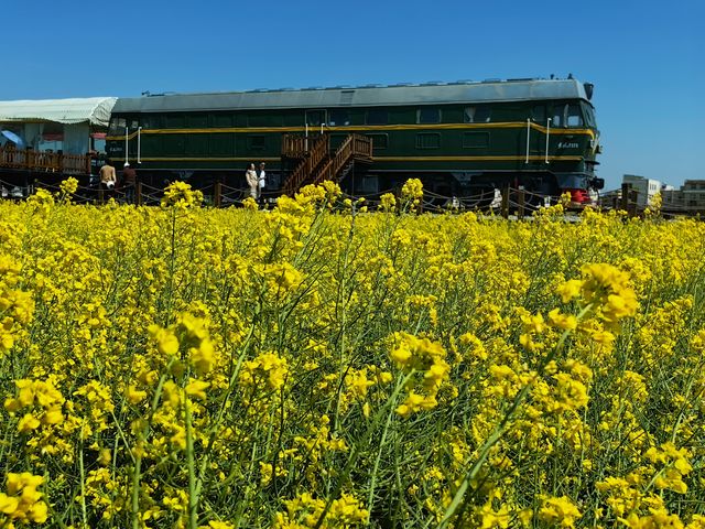 來沙堤村感受這趟開往春天的列車 來沙堤村感受這趟開往春天的列車