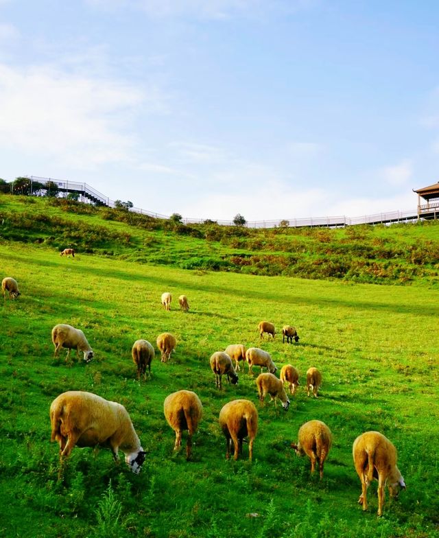 抚仙湖小眾景點磨豆山