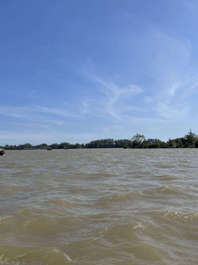 Cruising Along the Mekong Delta River🇻🇳