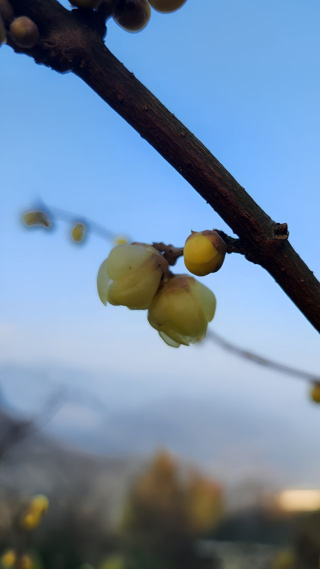 諾水洞天景區風光無限好